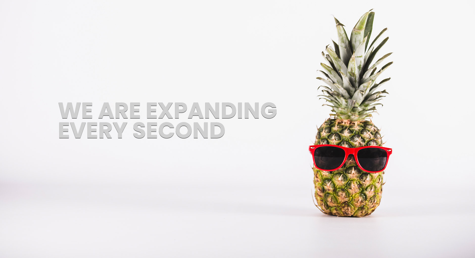 Graphic Design Agency - Spectrum Buzz Designing Solutions Home Page Banner 2